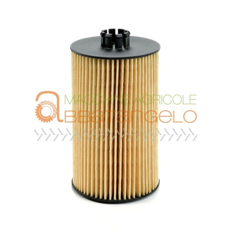 Filtri olio motore SDF 02931092