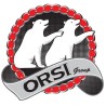 ORSI GROUP