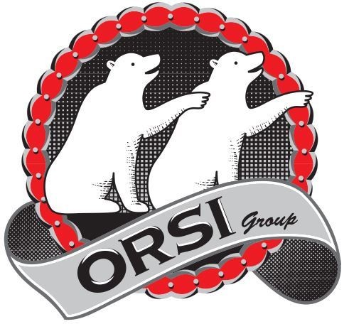ORSI GROUP